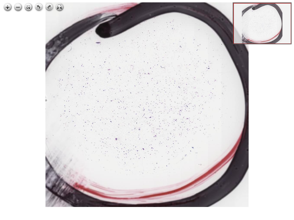 Click for Full Screen WSI