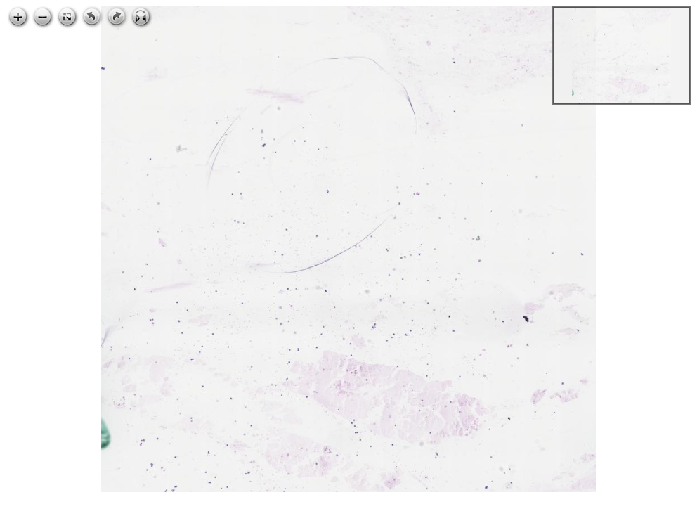 Click for Full Screen WSI